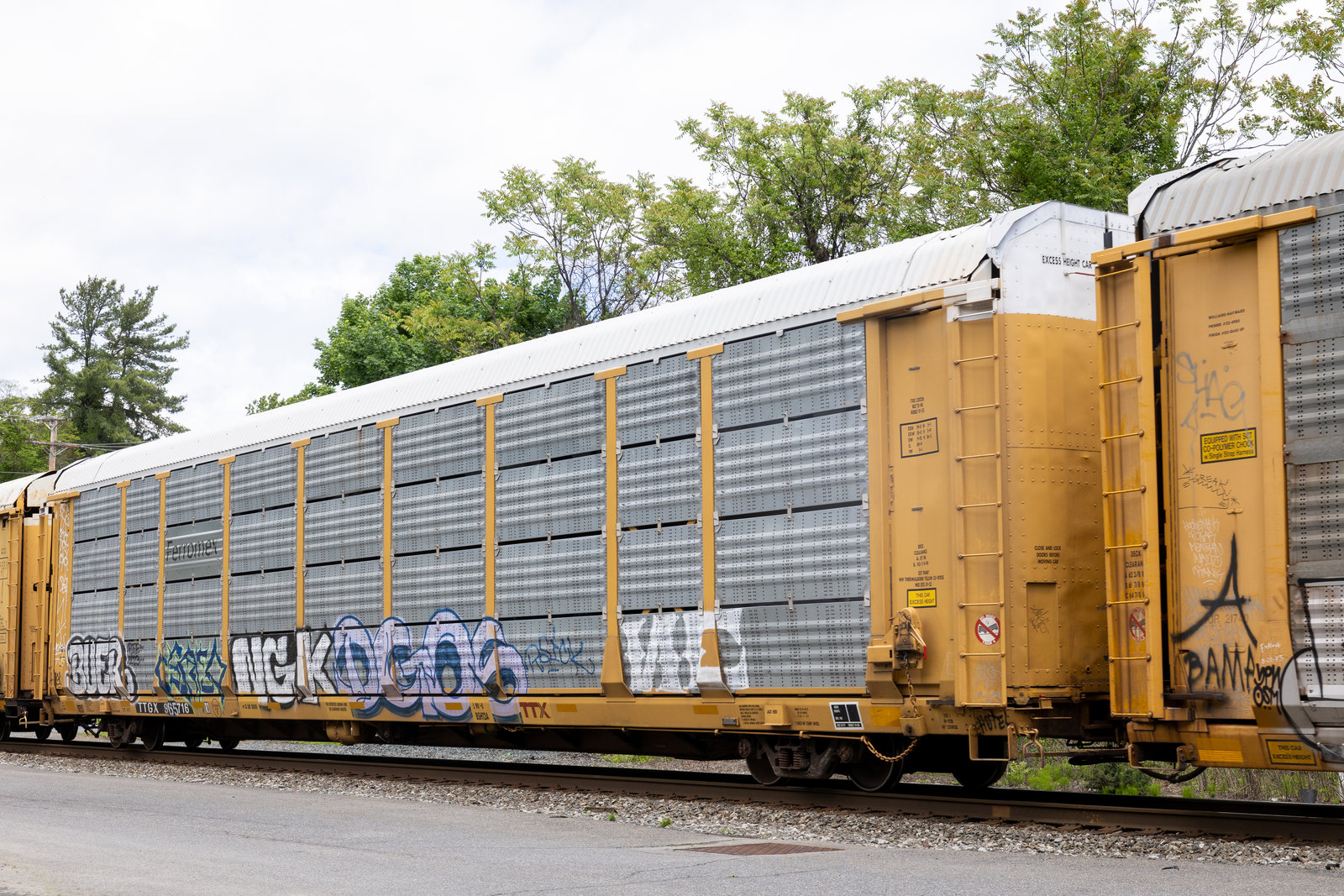 TTGX 965716