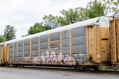 TTGX 981781
