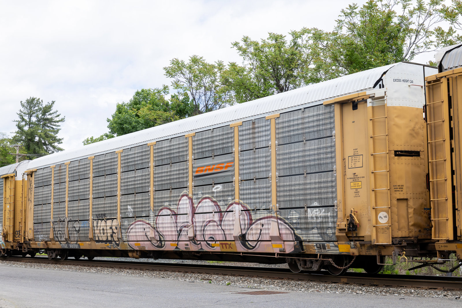 TTGX 981781