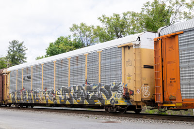 TTGX 979118