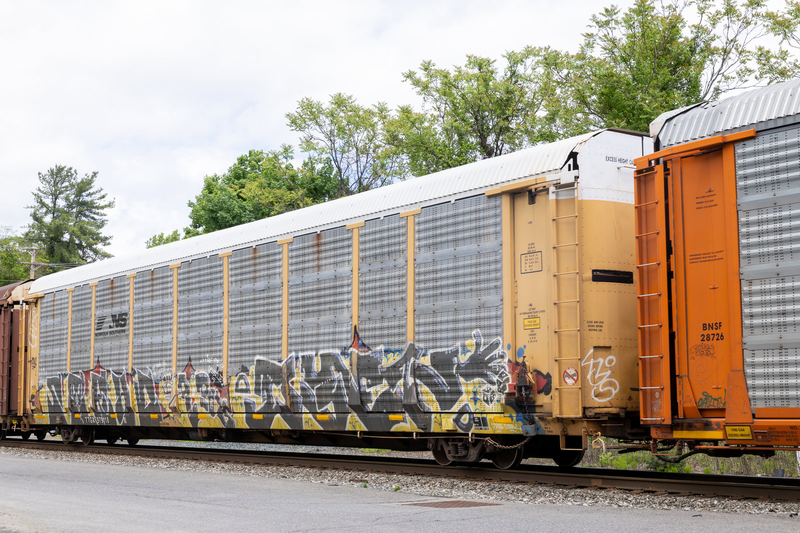 TTGX 979118