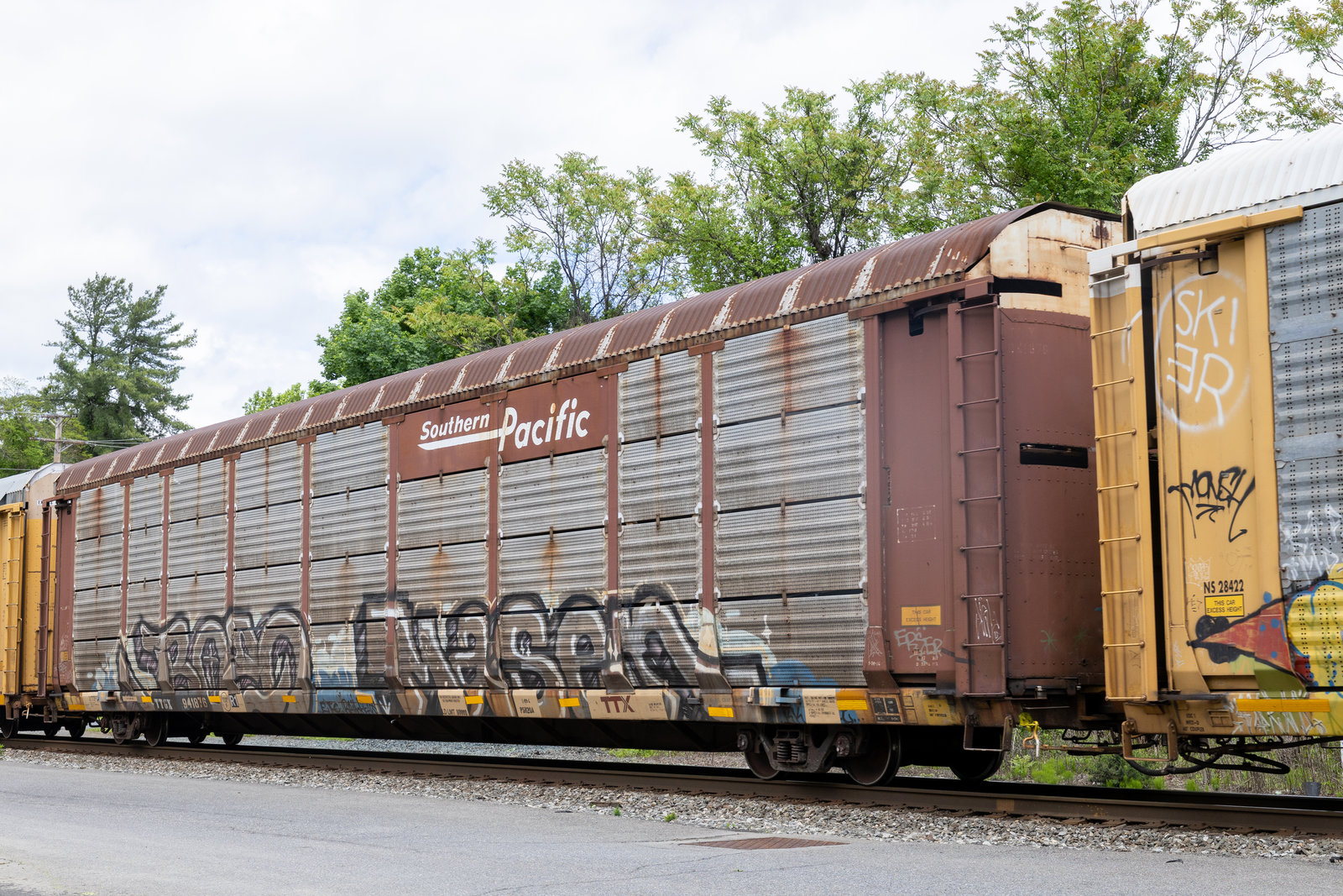 TTGX 941876