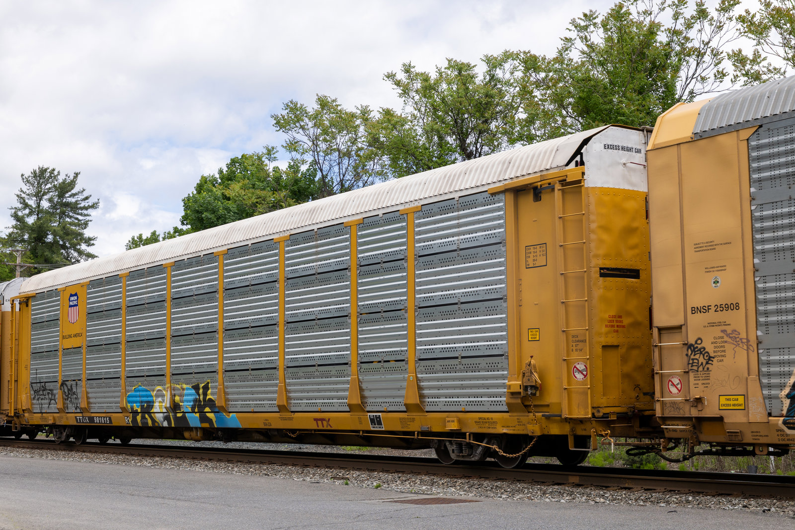 TTGX 981615