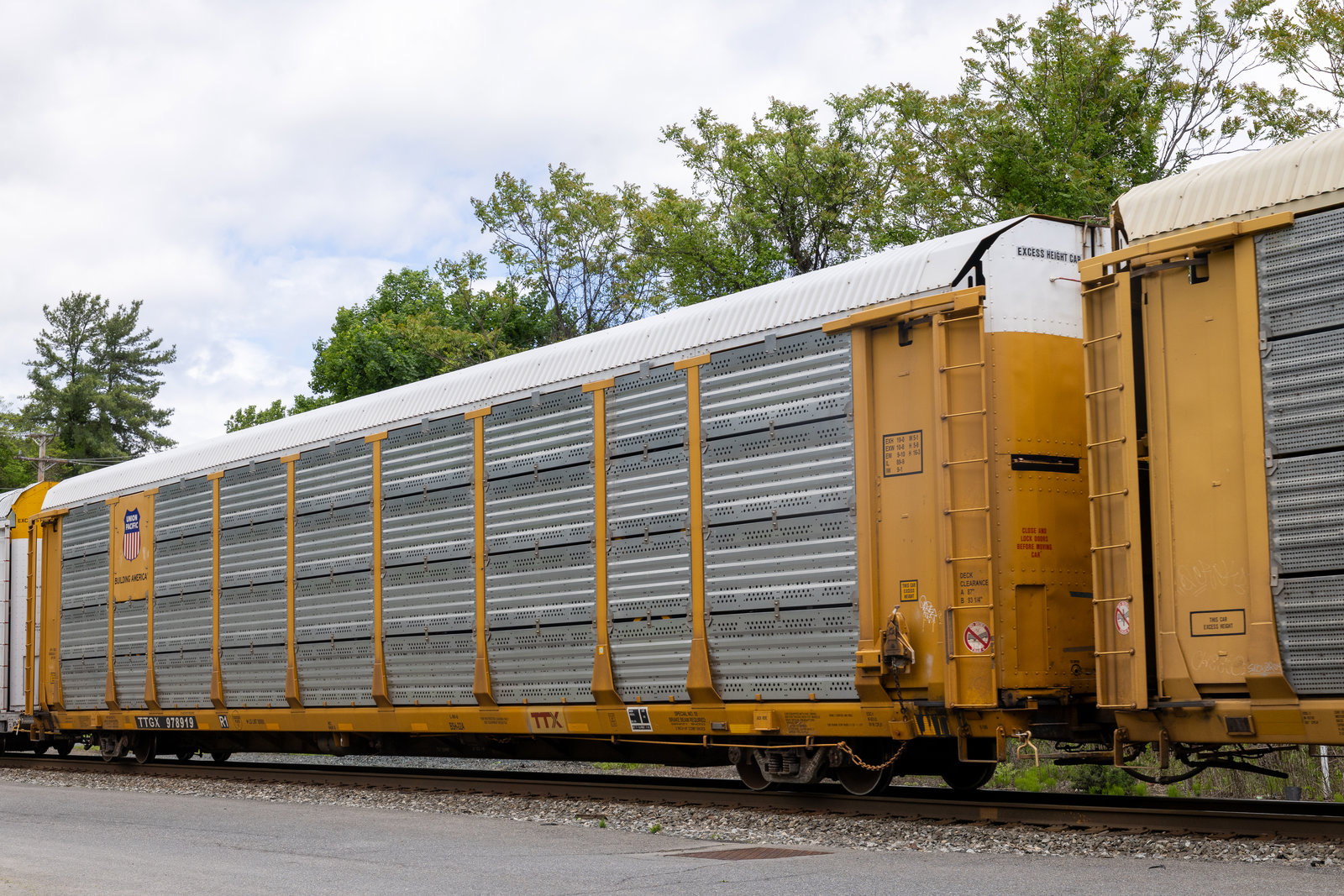TTGX 978919
