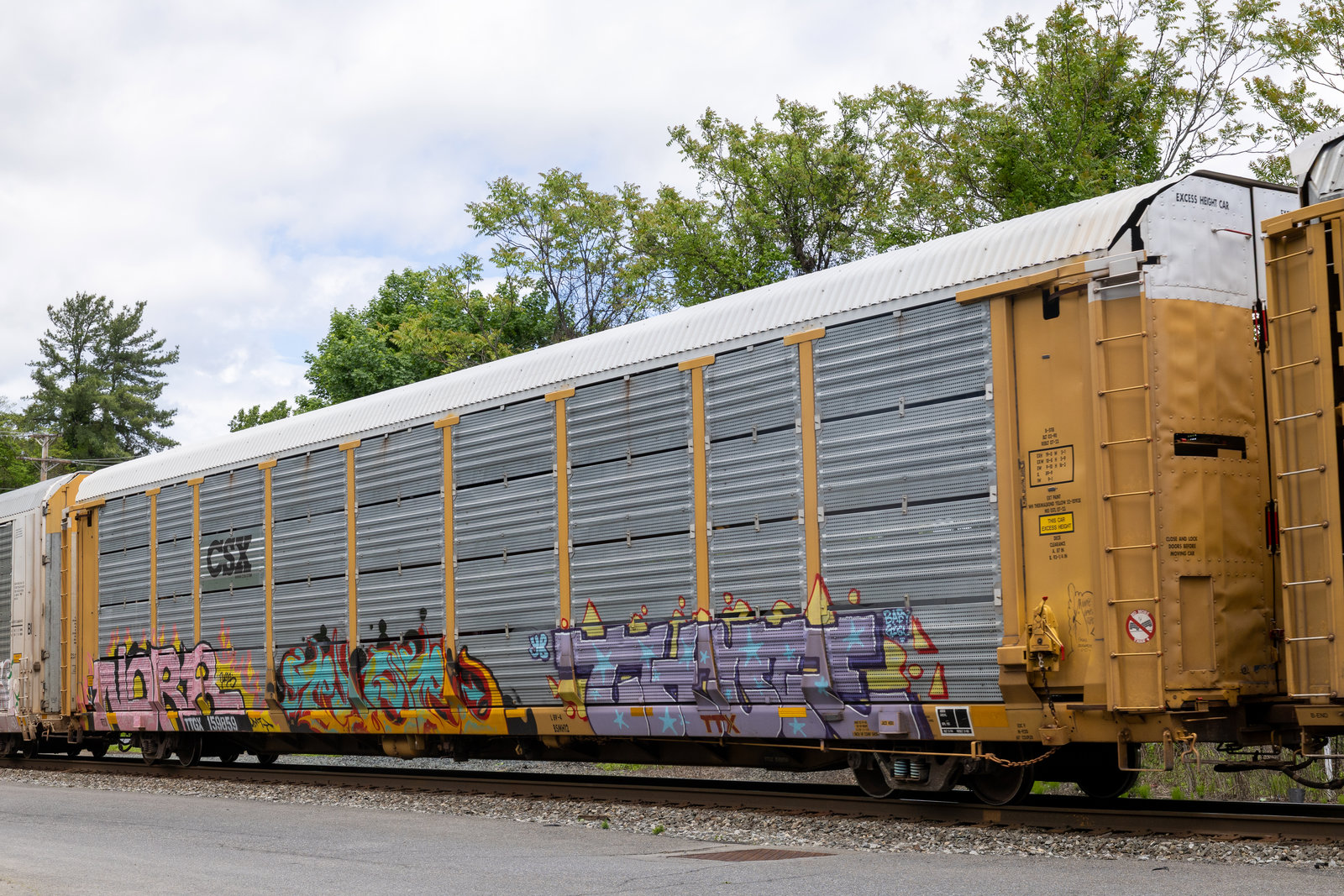 TTGX 159859