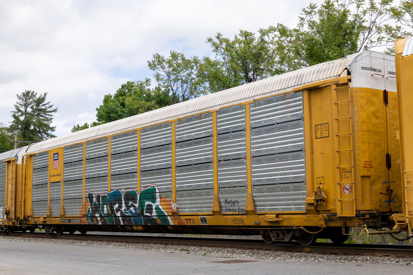 TTGX 255095