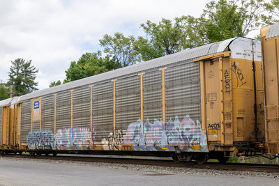 TTGX 986519
