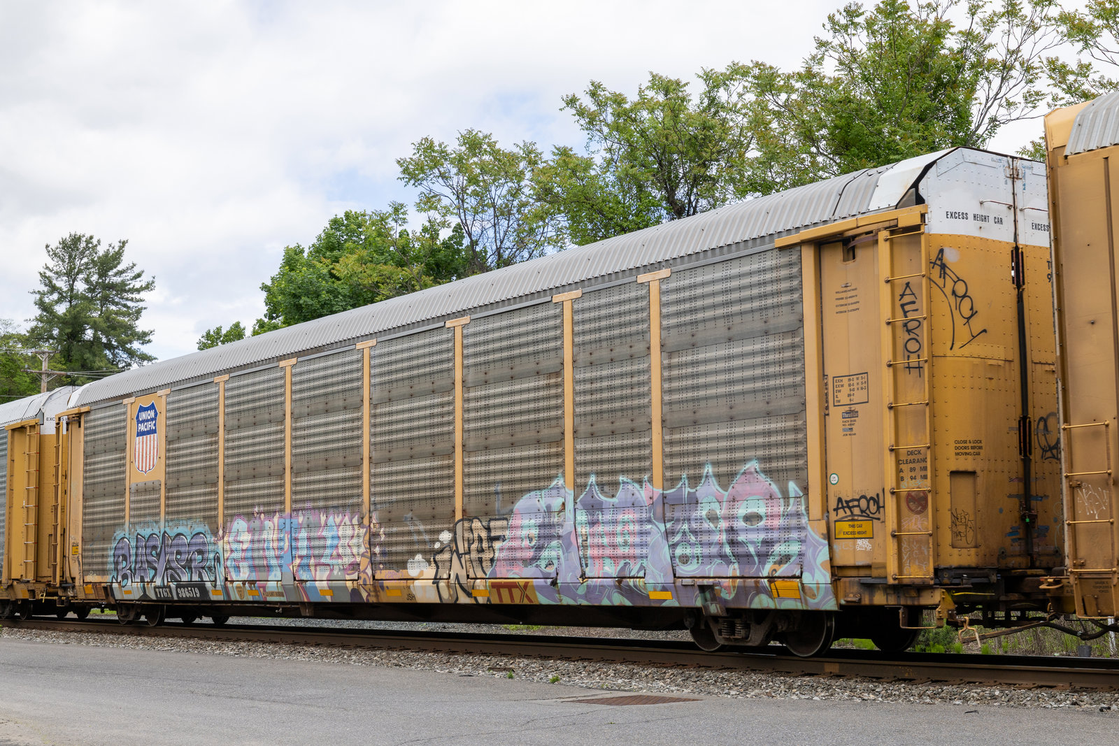 TTGX 986519
