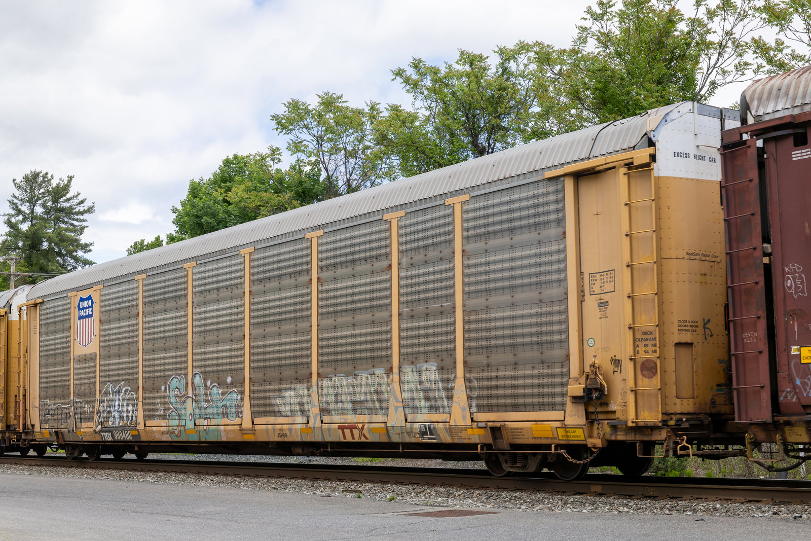 TTGX 988480