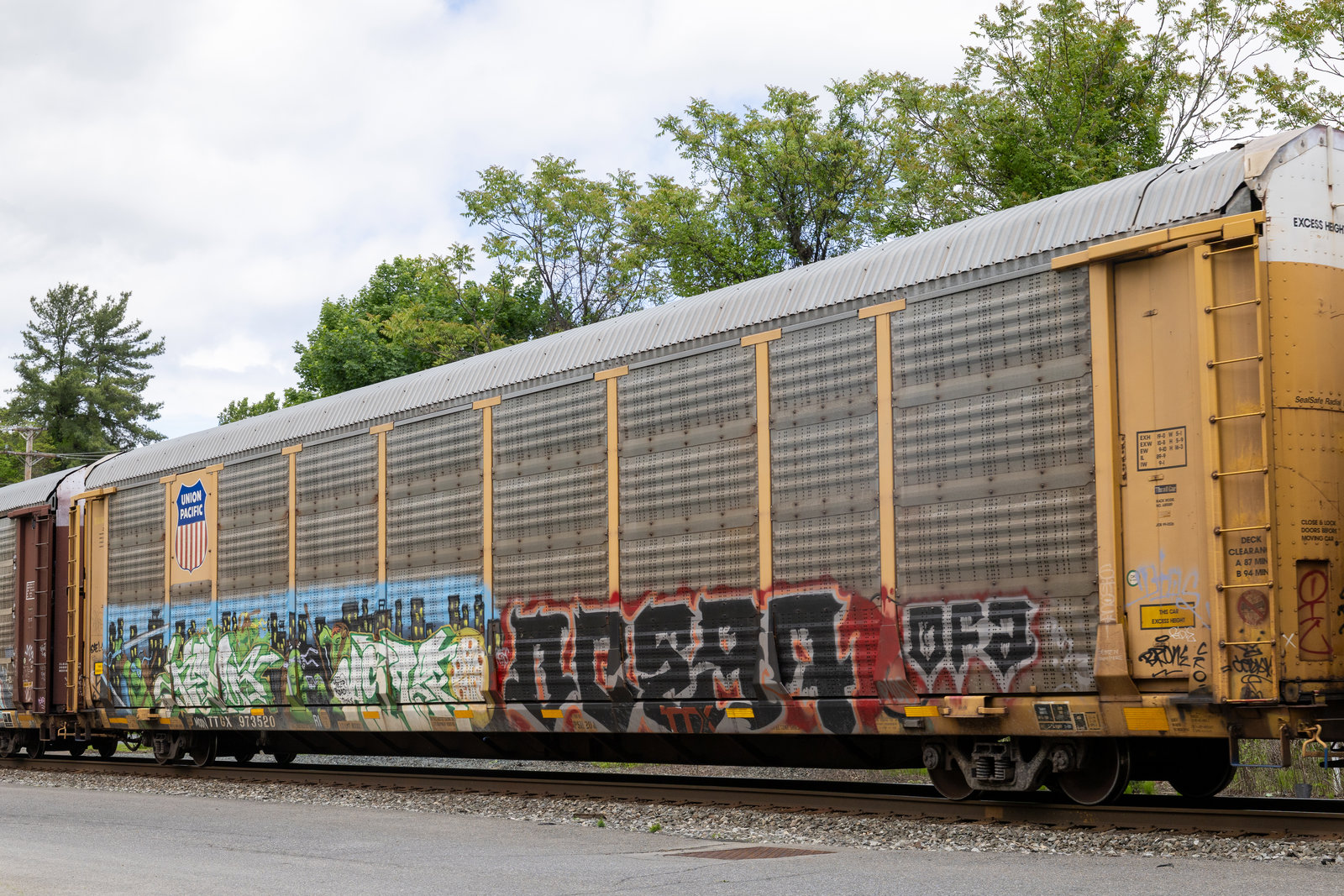 TTGX 973520