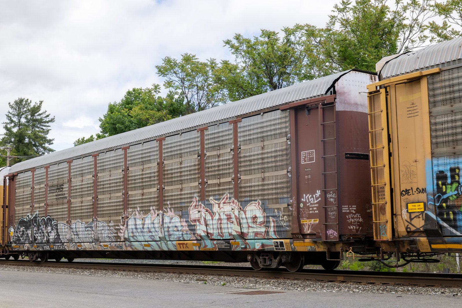TTGX 981262