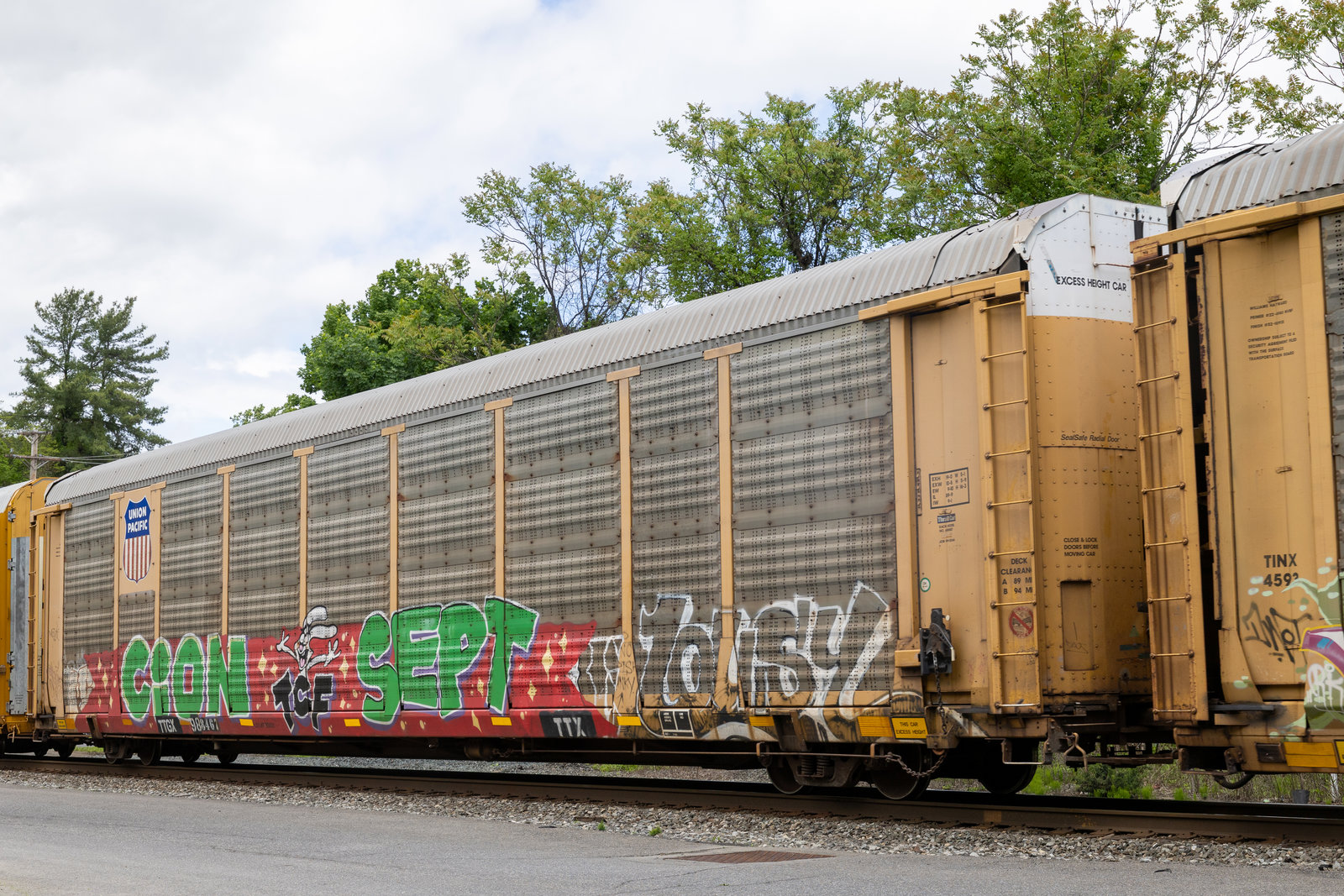 TTGX 988467