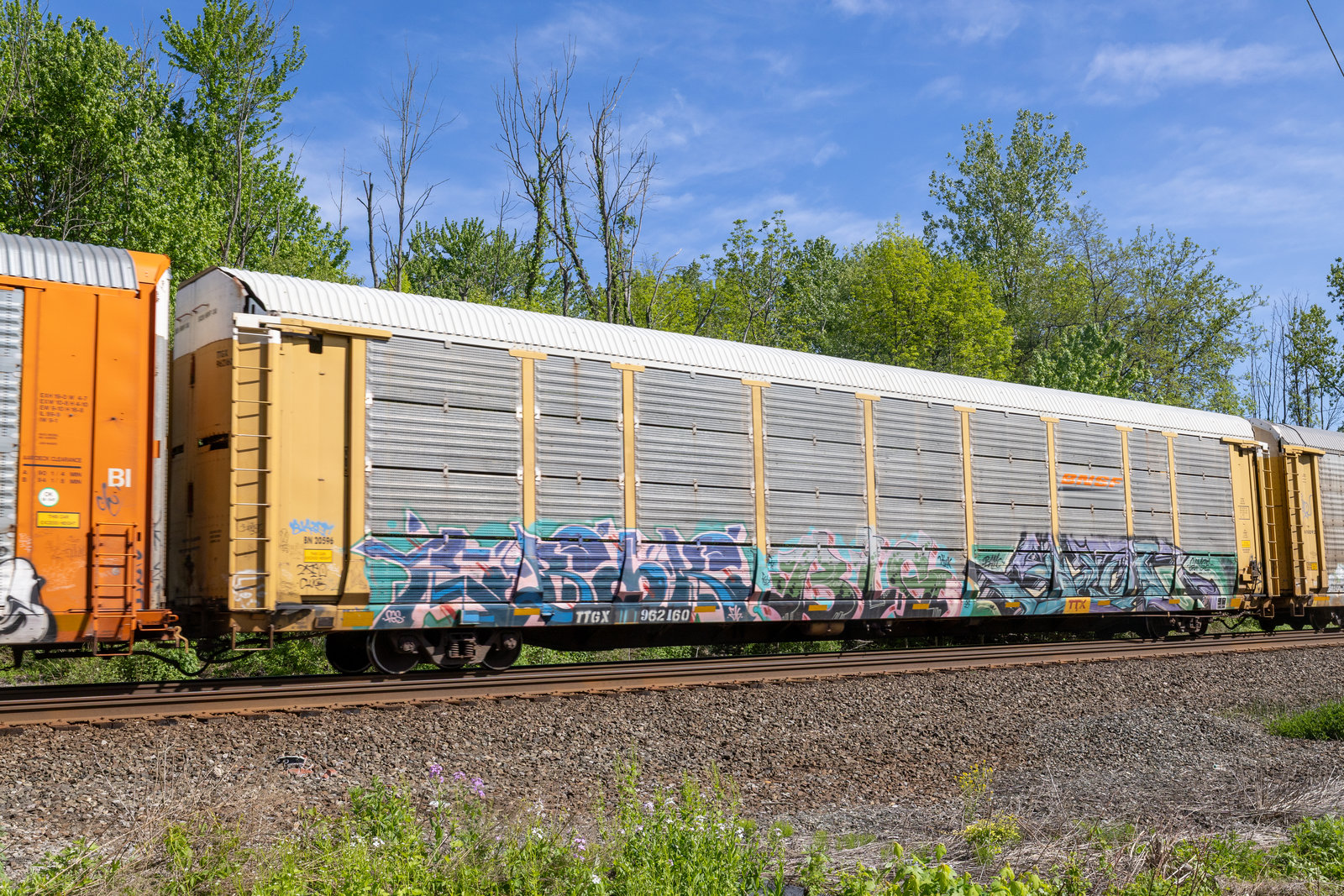 TTGX 962160