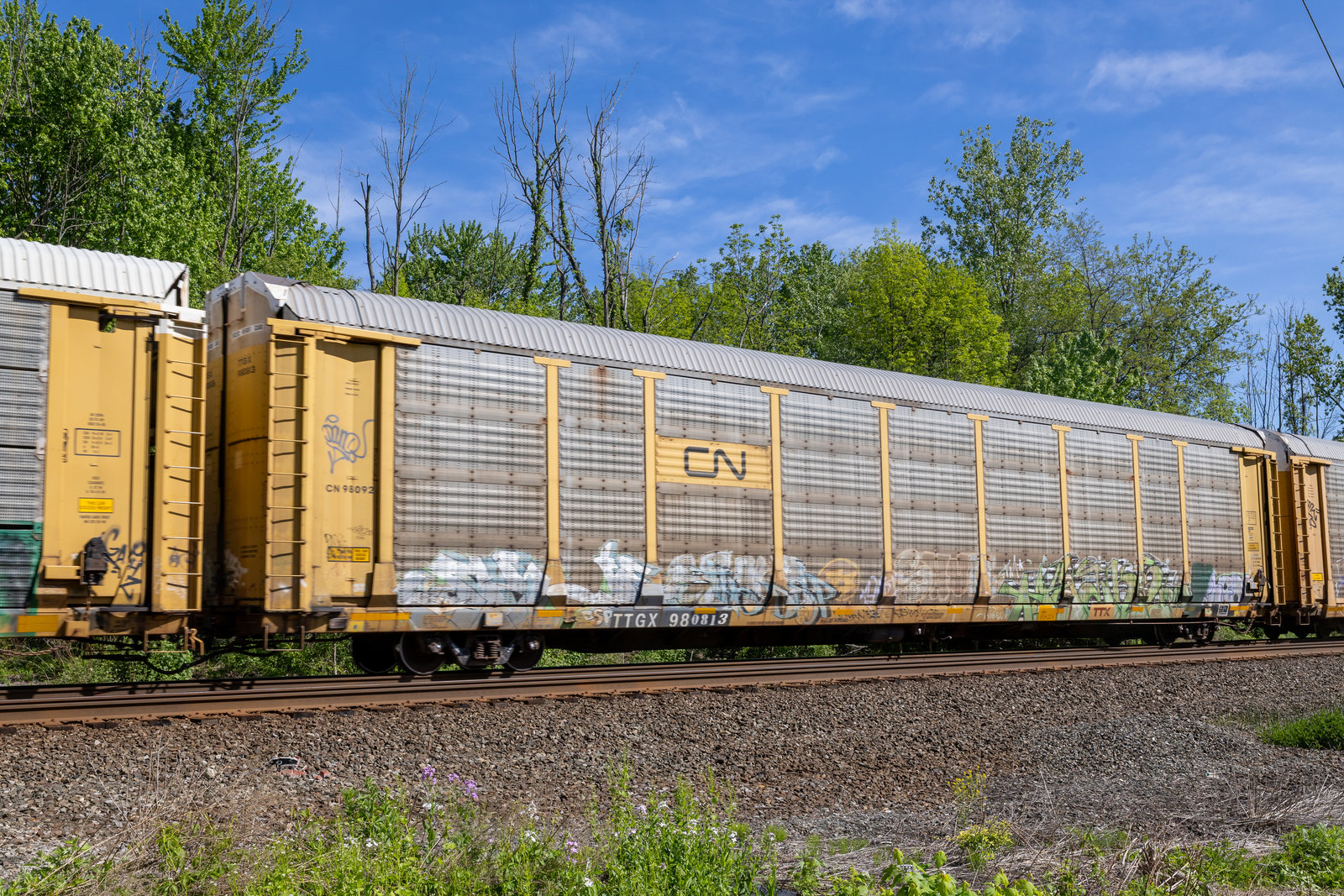 TTGX 980813