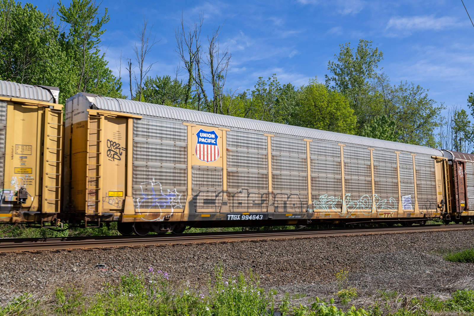 TTGX 994643