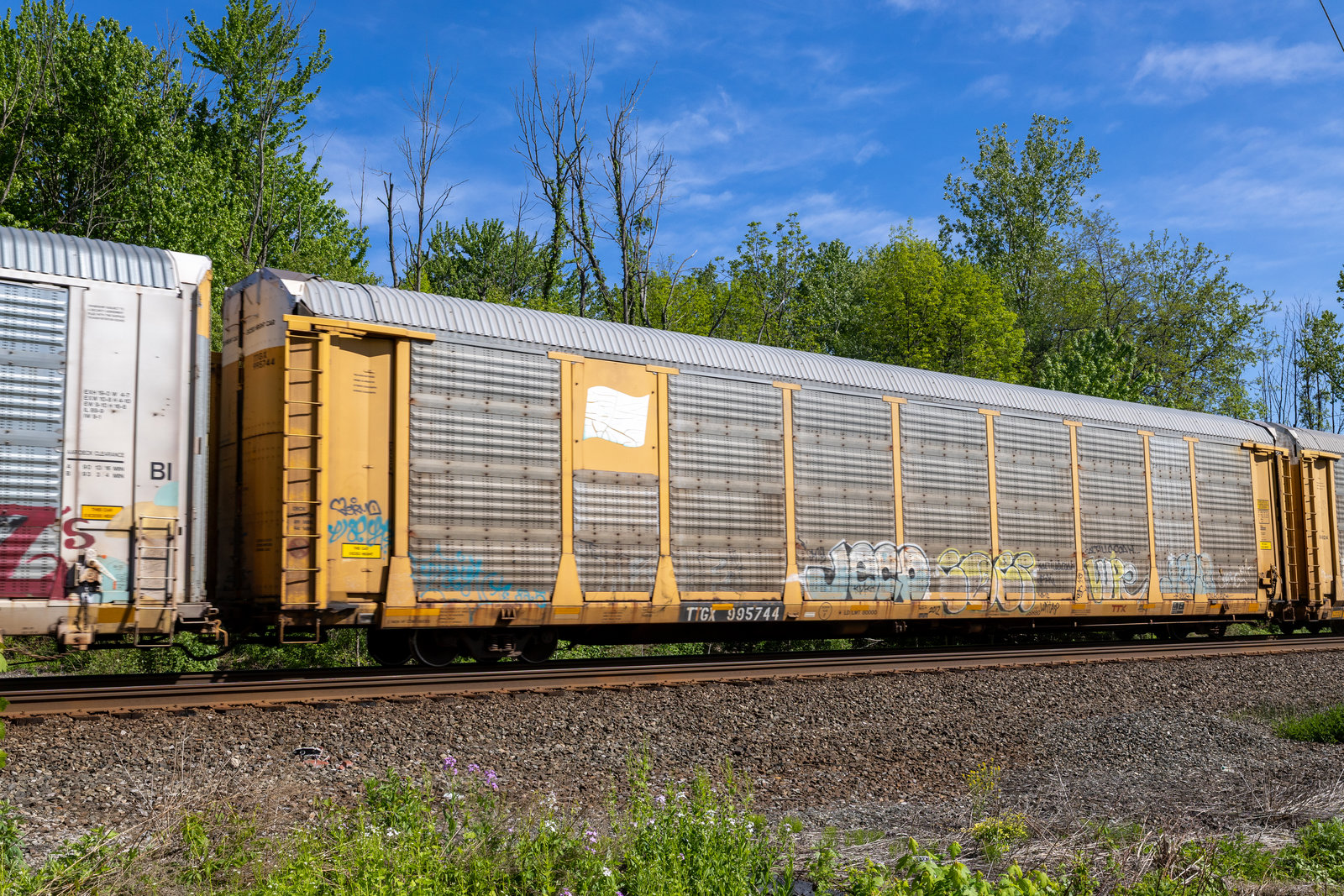 TTGX 995744