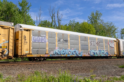 TTGX 965465