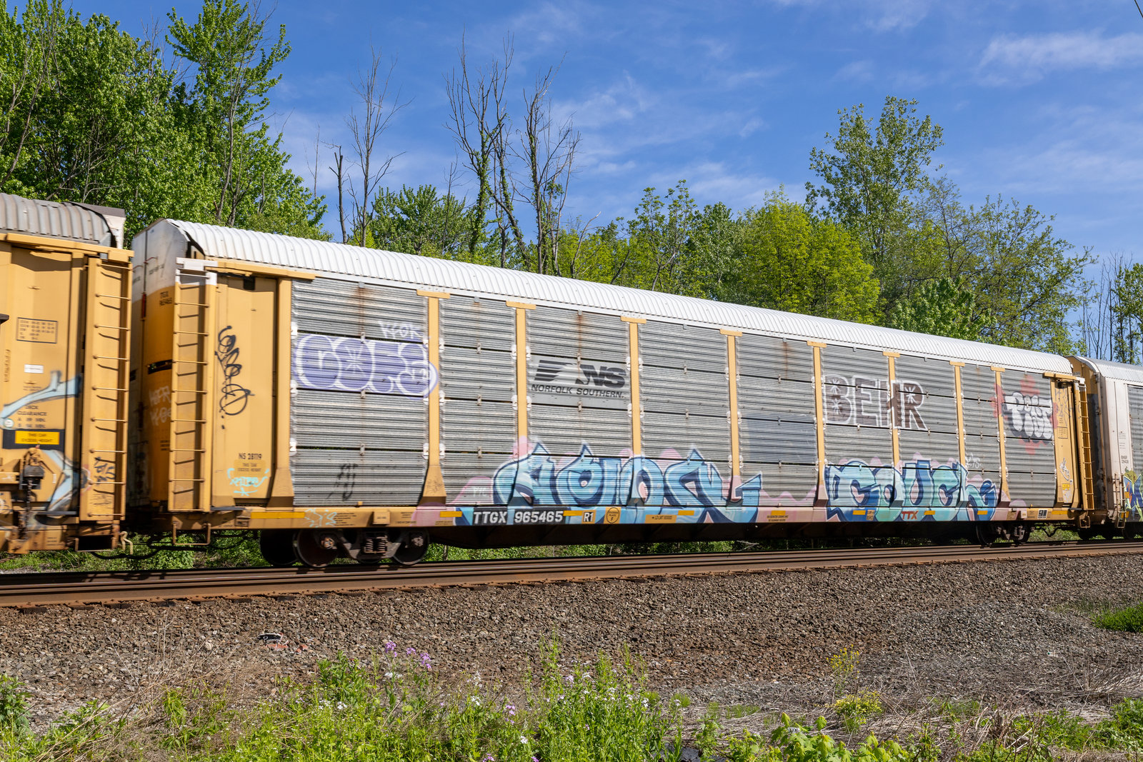 TTGX 965465
