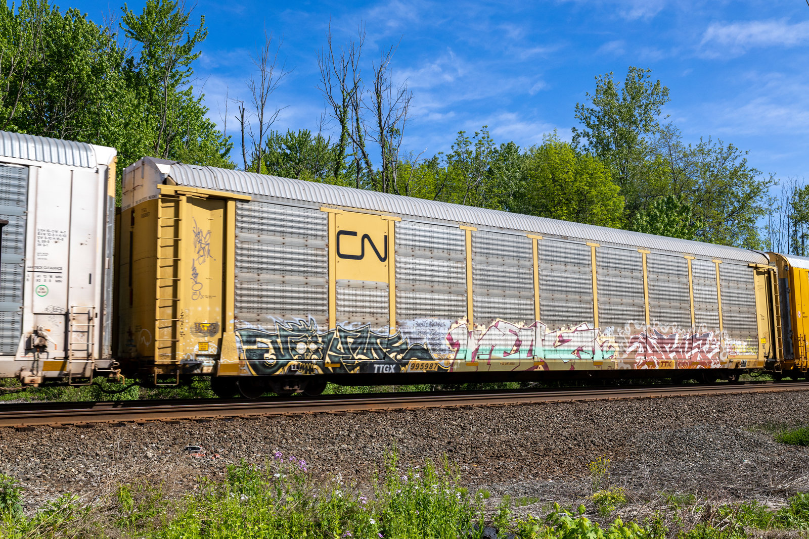 TTGX 995987