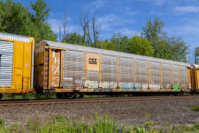 TTGX 991753