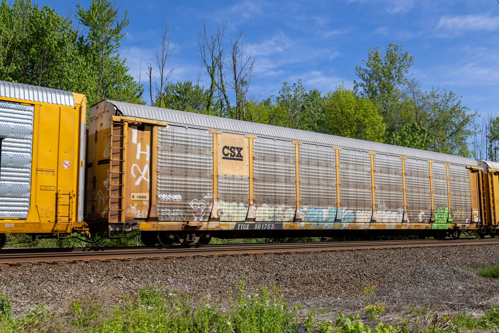 TTGX 991753