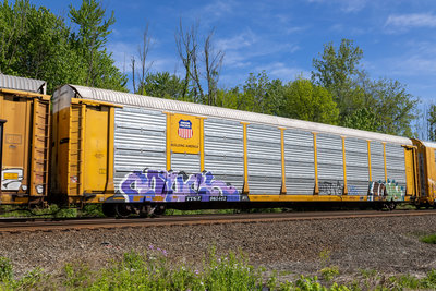 TTGX 965443