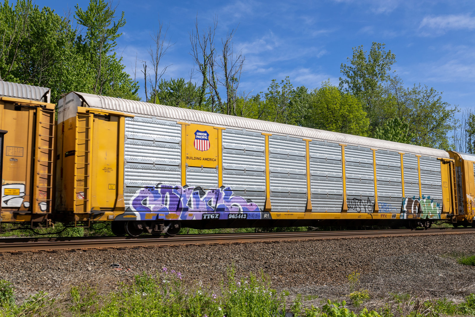 TTGX 965443