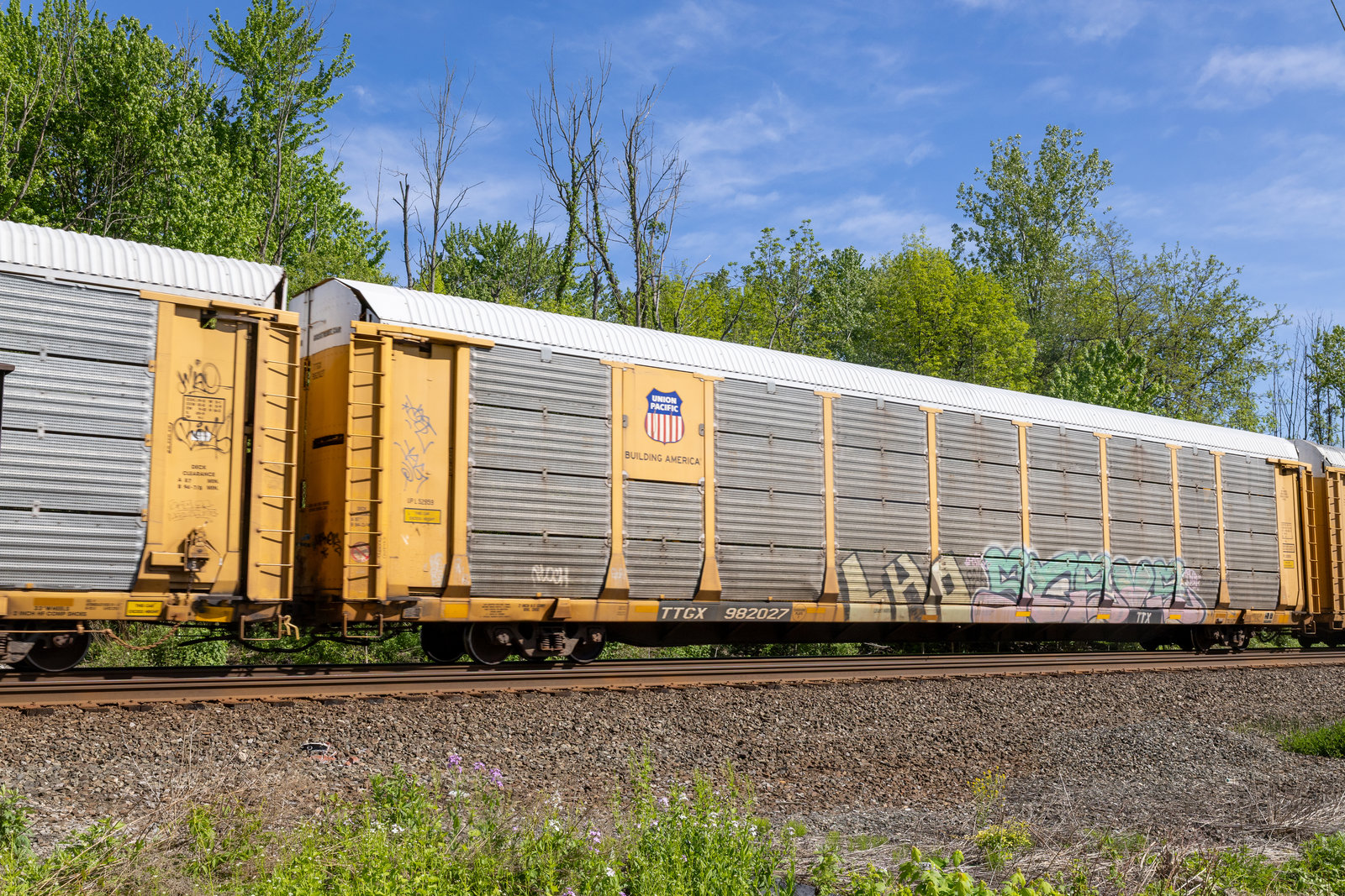 TTGX 982027