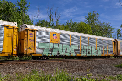 TTGX 991292
