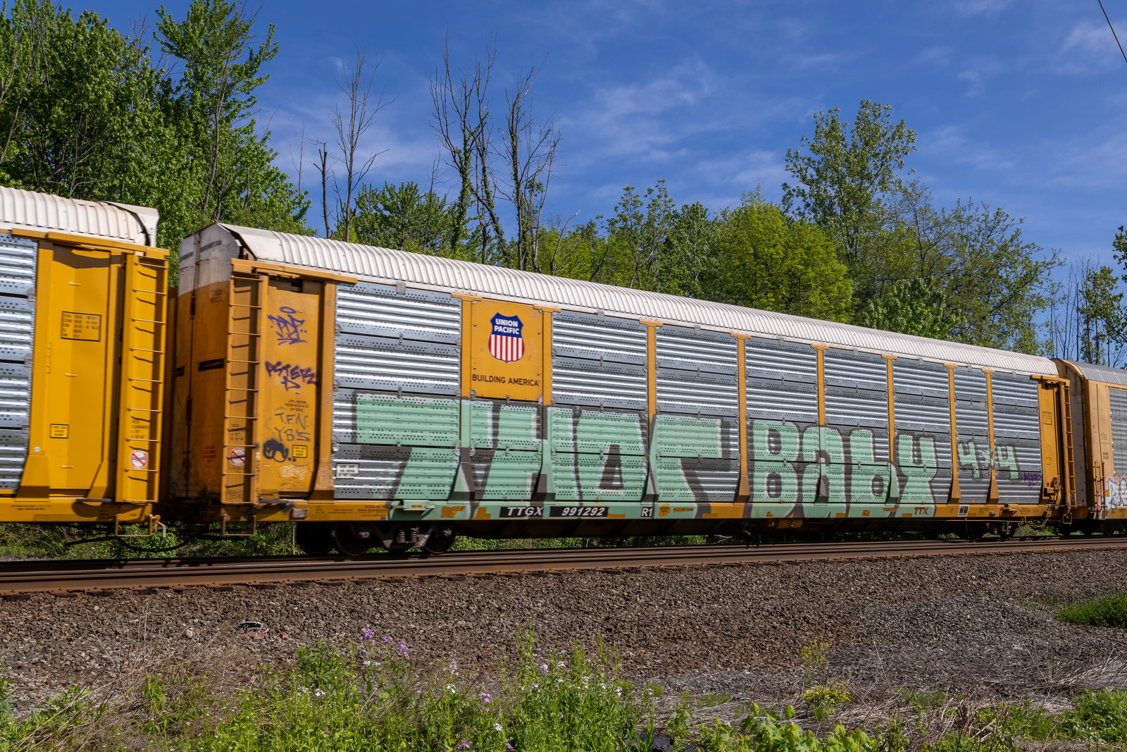 TTGX 991292