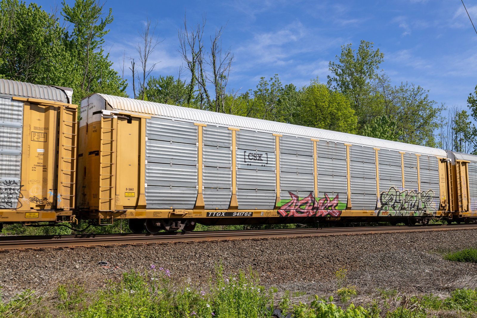 TTGX 941762