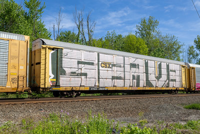 TTGX 983707