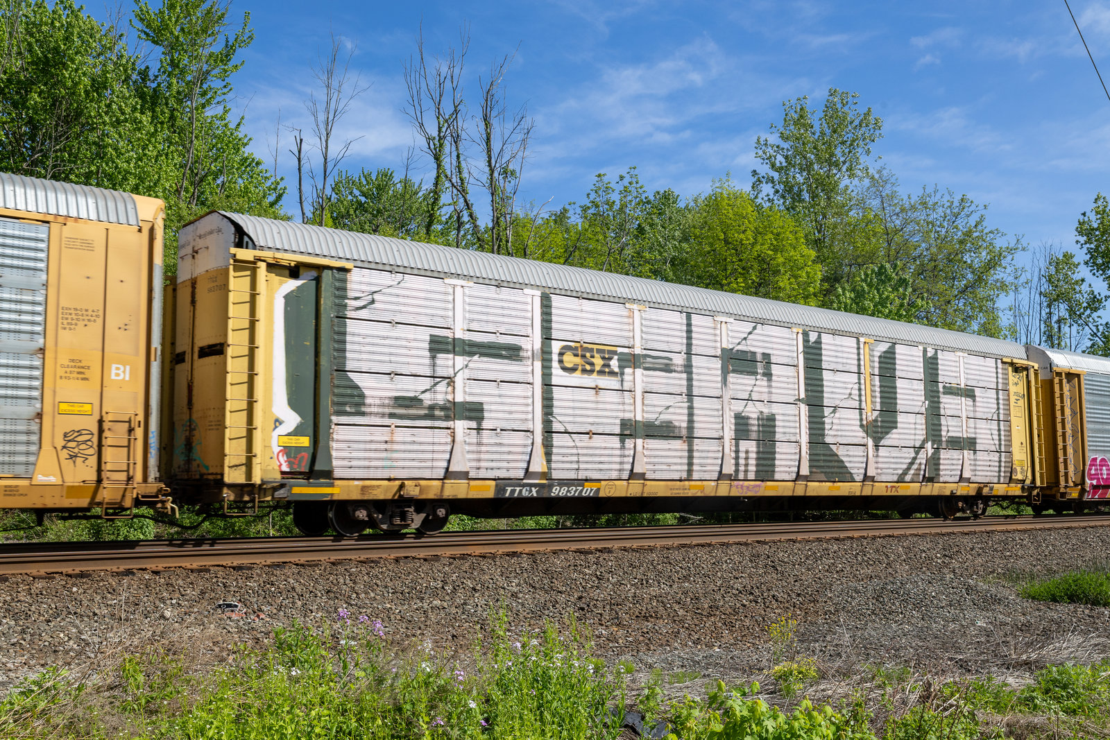 TTGX 983707
