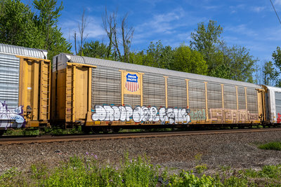 TTGX 996992