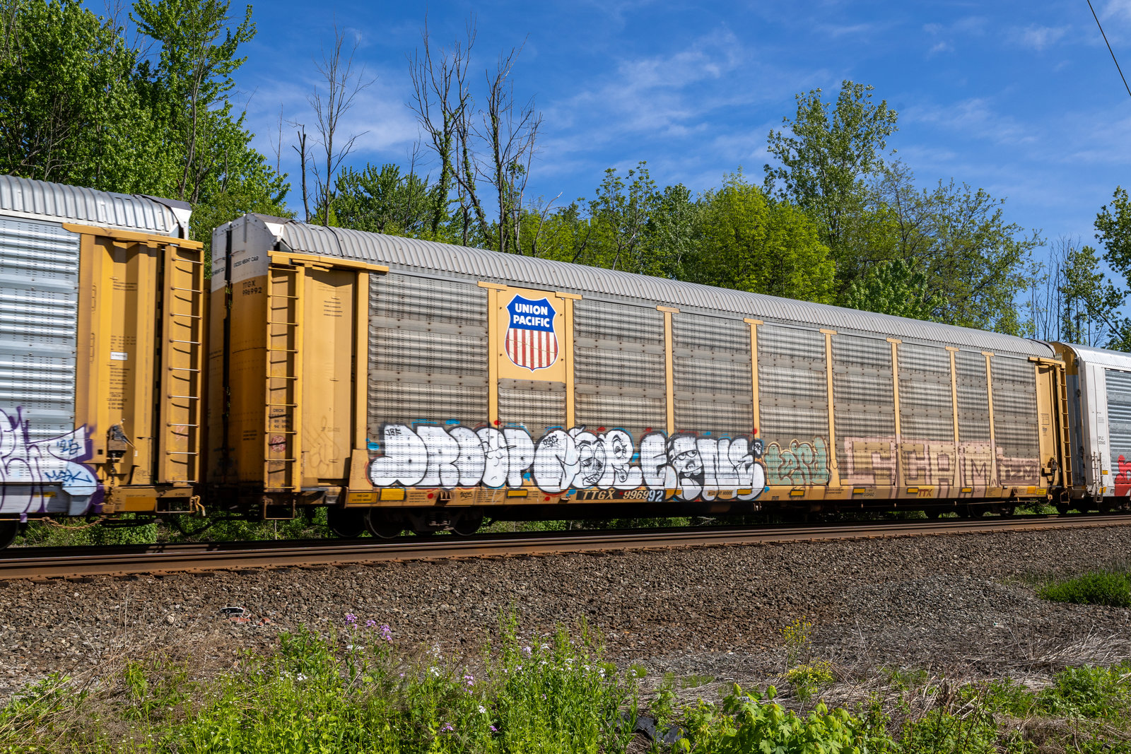 TTGX 996992
