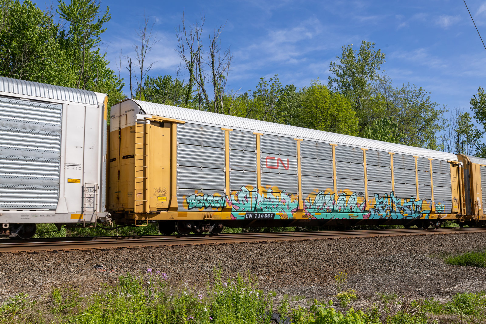 CN 710867