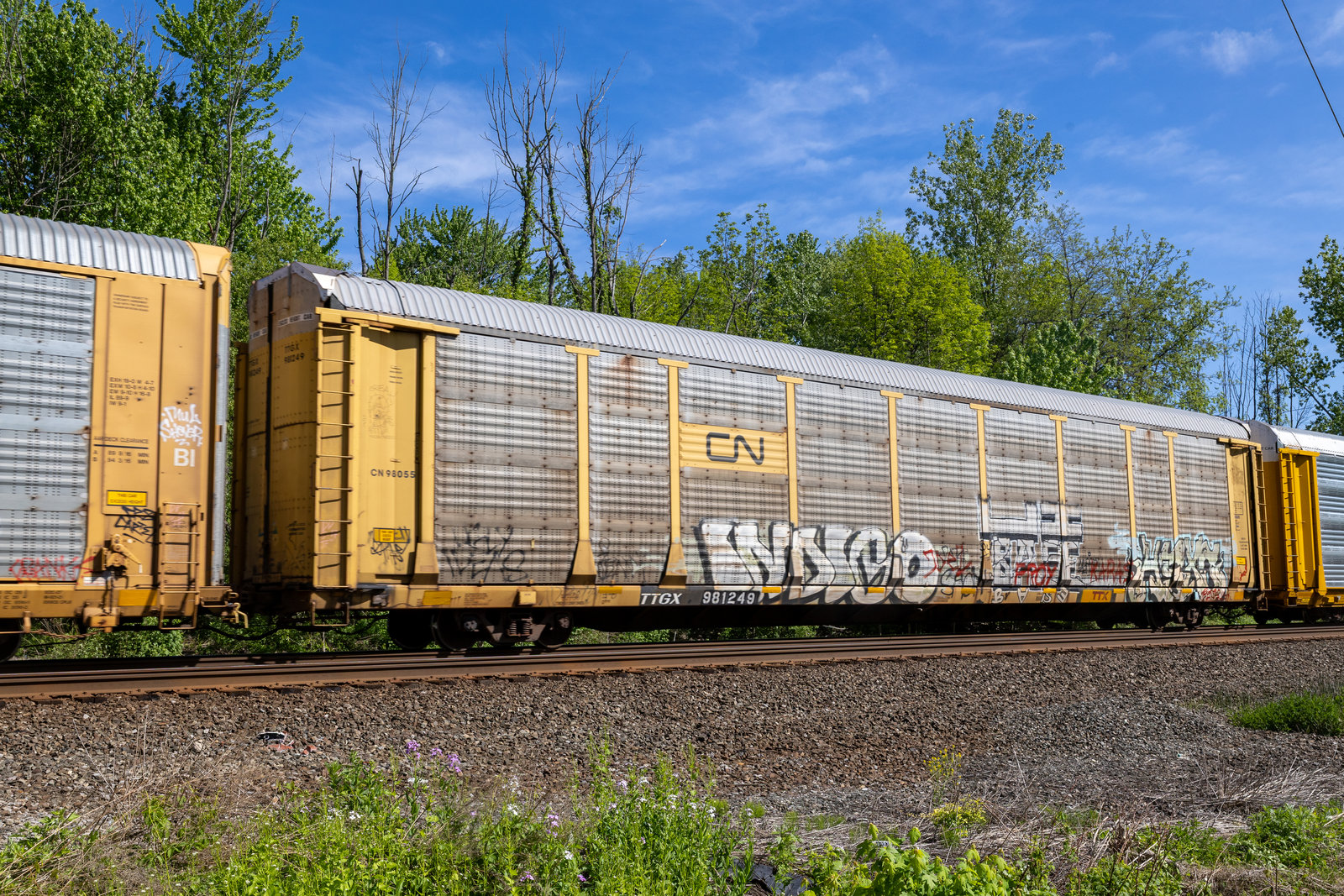 TTGX 981249