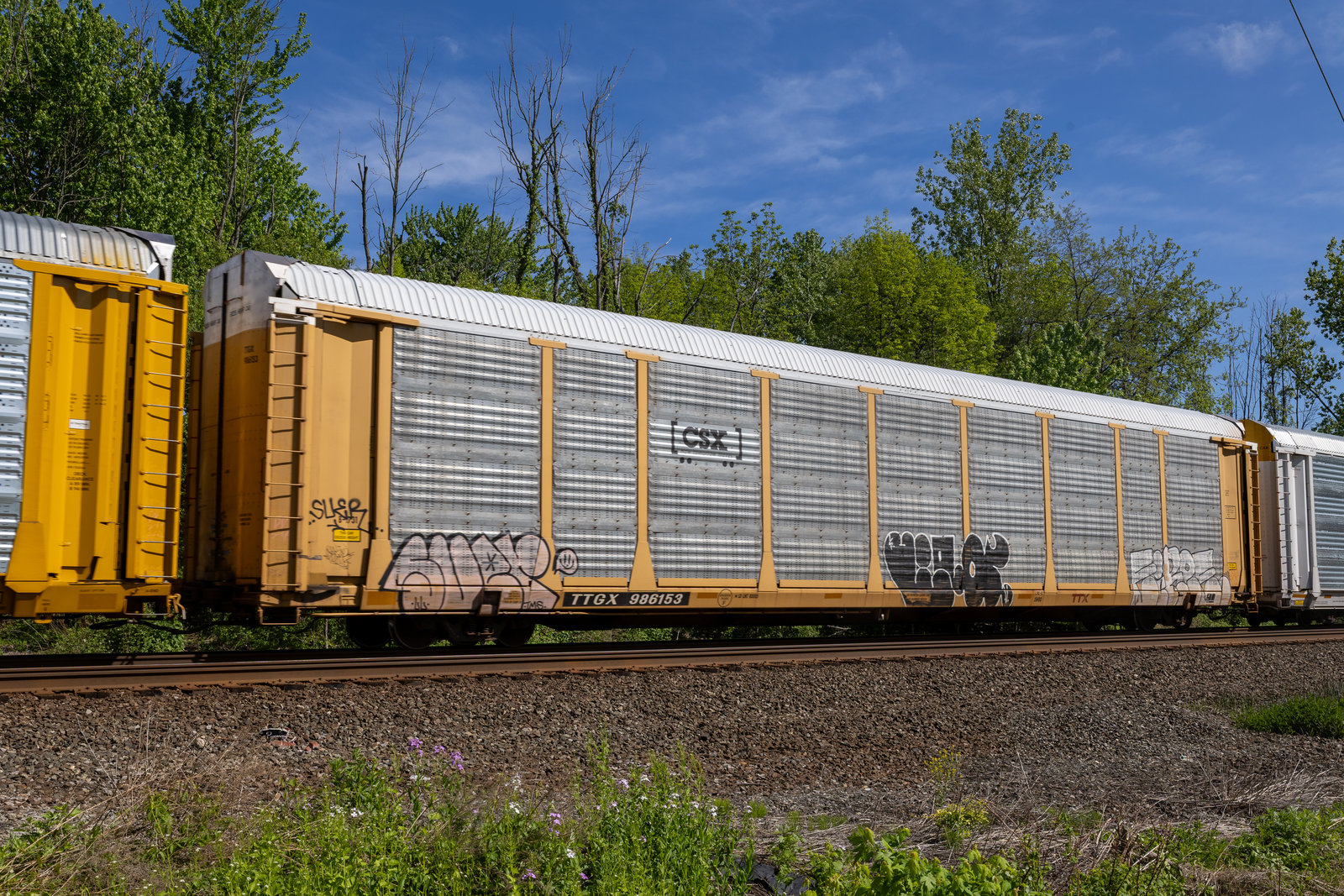 TTGX 986153