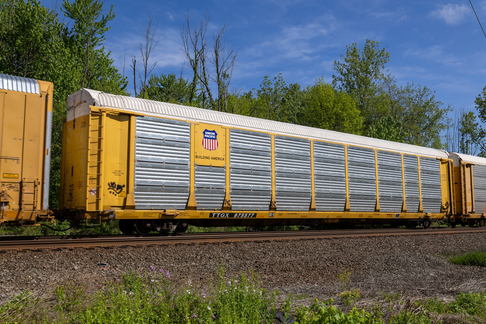 TTGX 975577