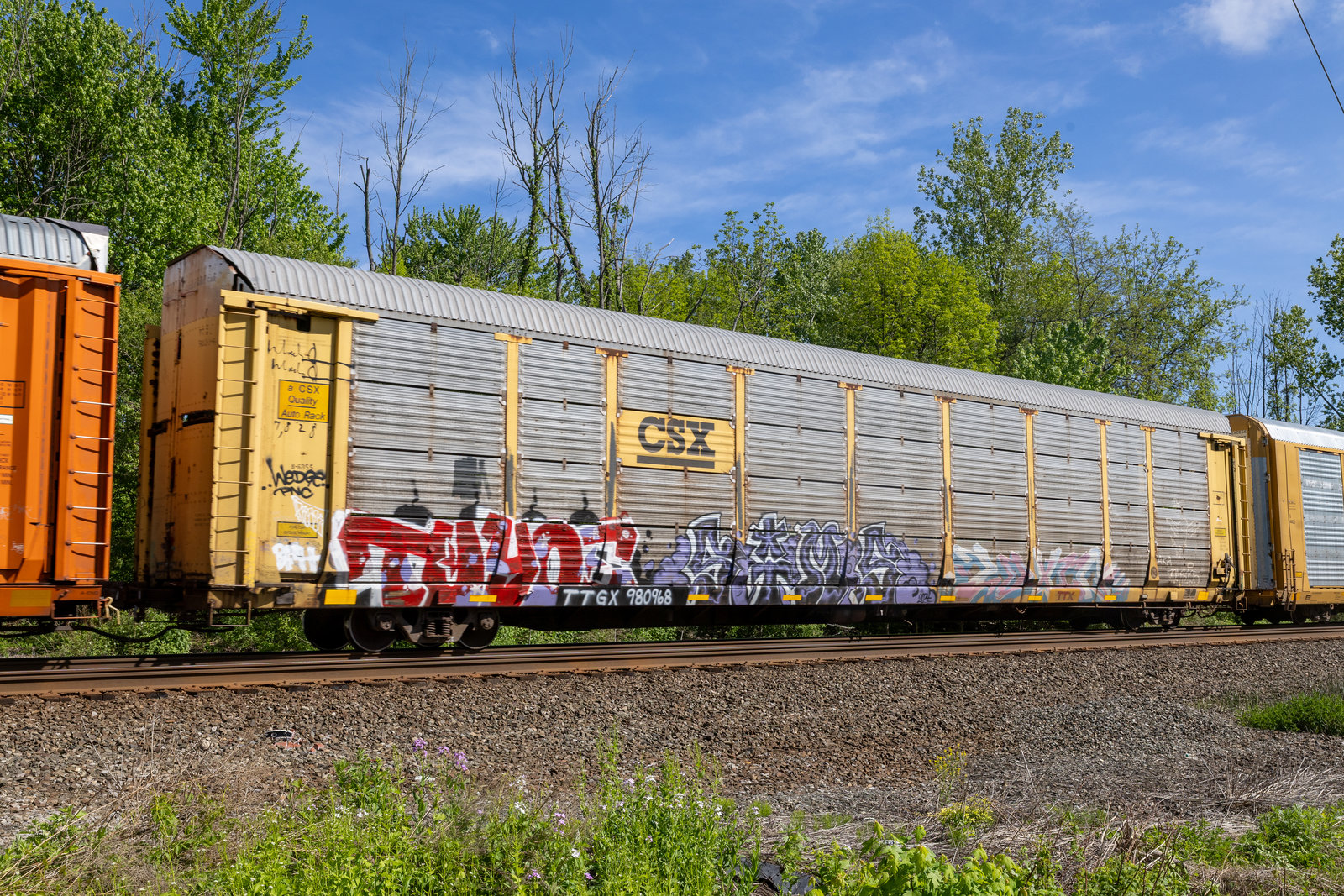 TTGX 980968