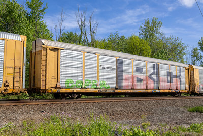 TTGX 963765