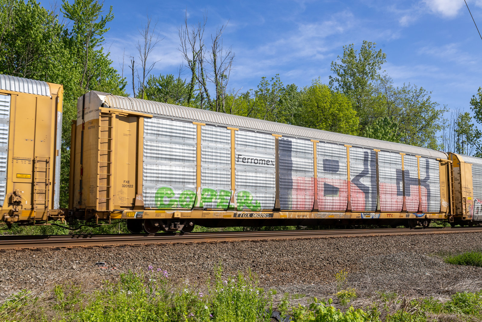 TTGX 963765