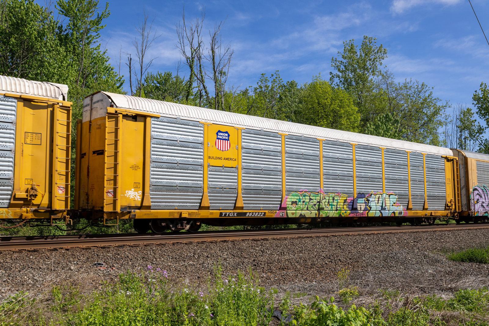 TTGX 963822