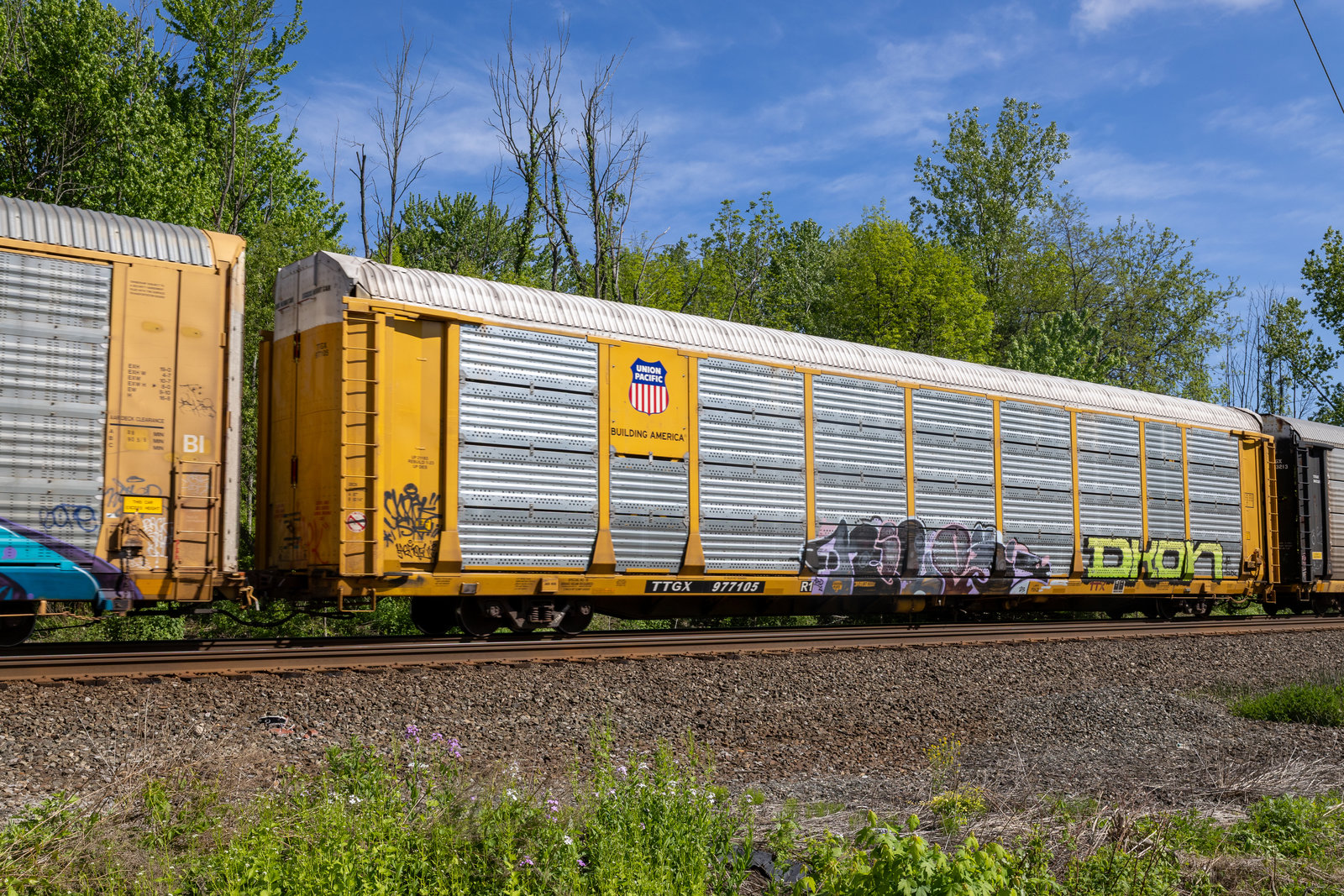 TTGX 977104