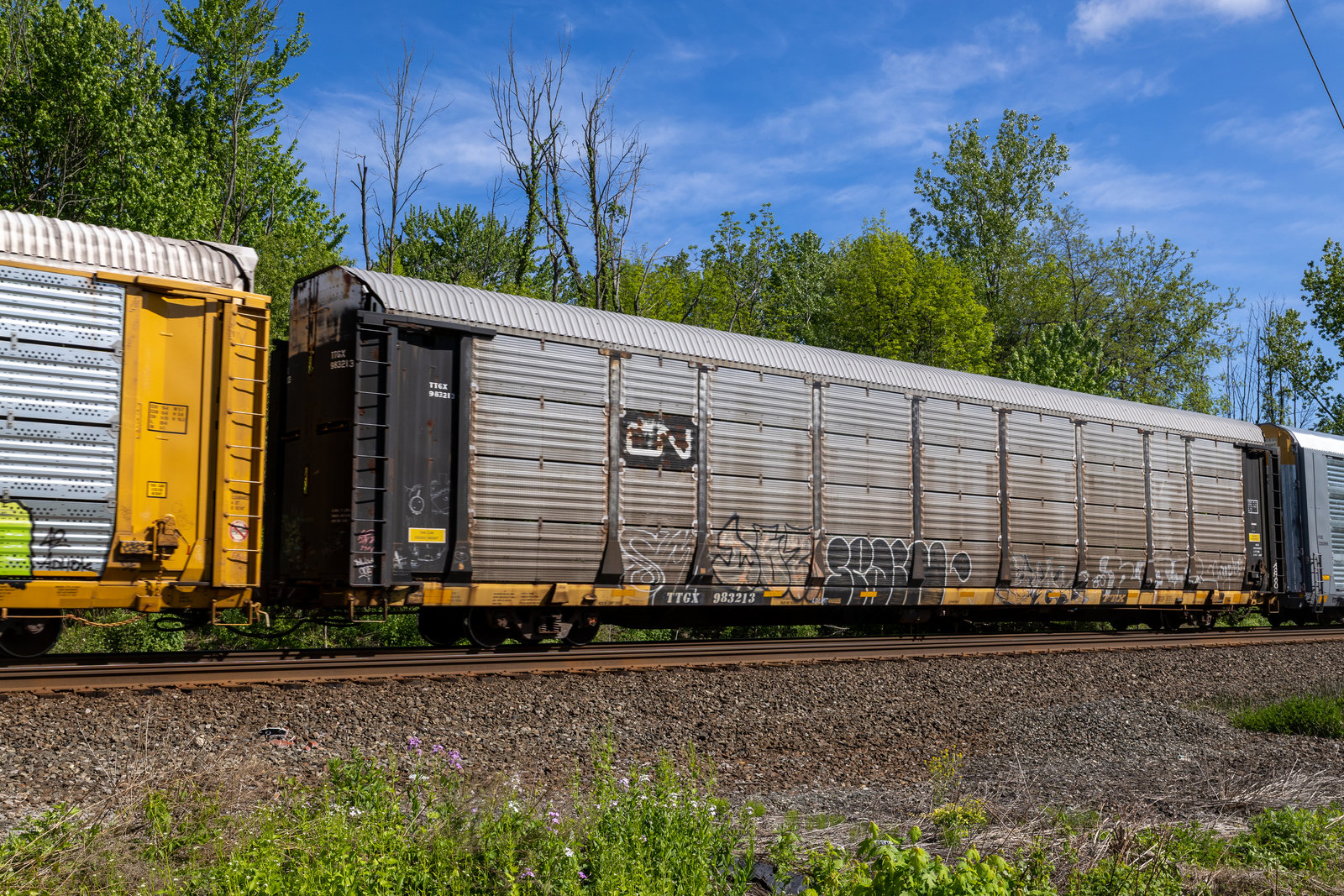 TTGX 983213