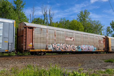 TTGX 979909