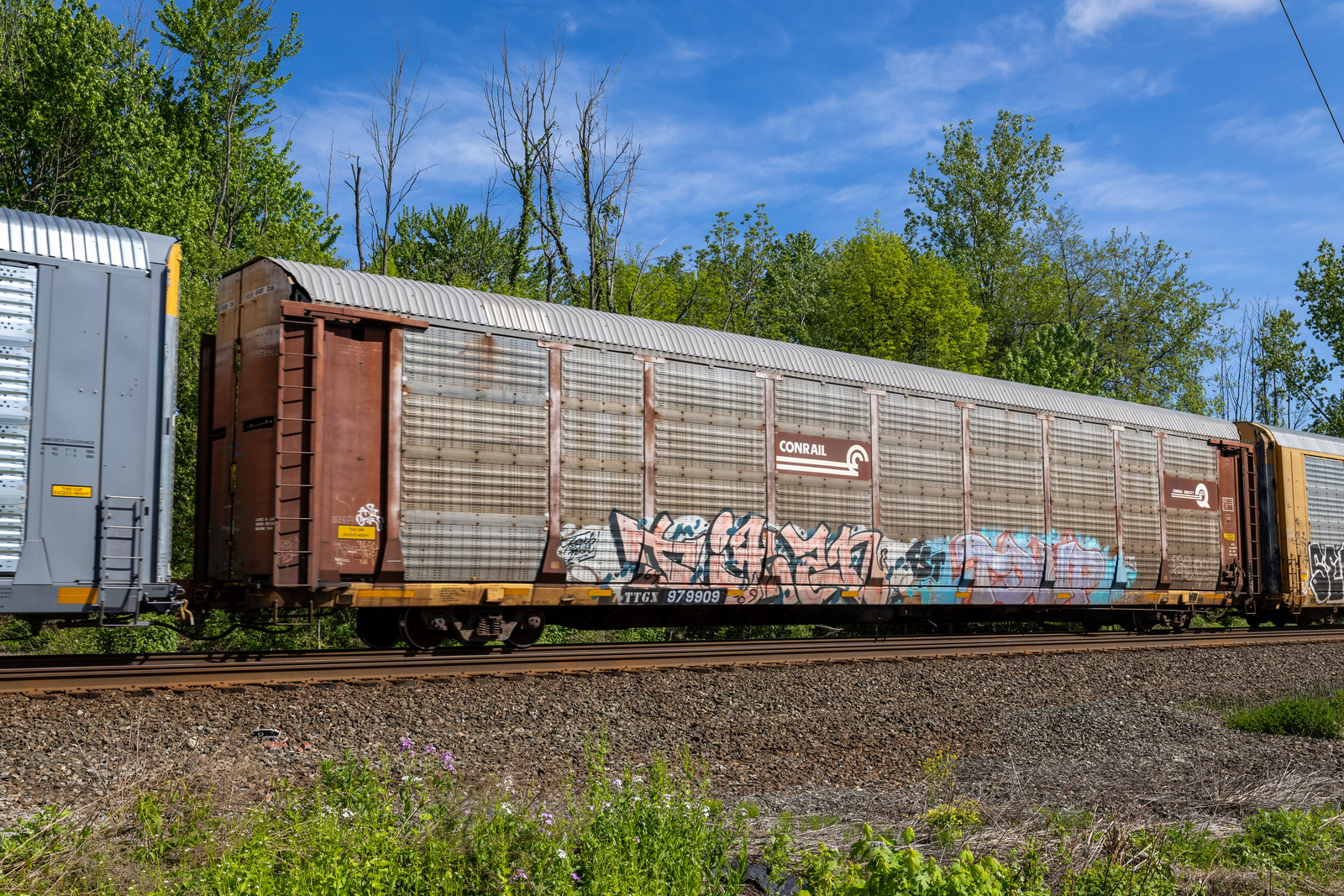 TTGX 979909