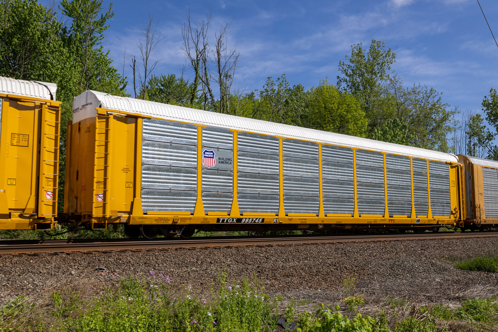 TTGX 995745