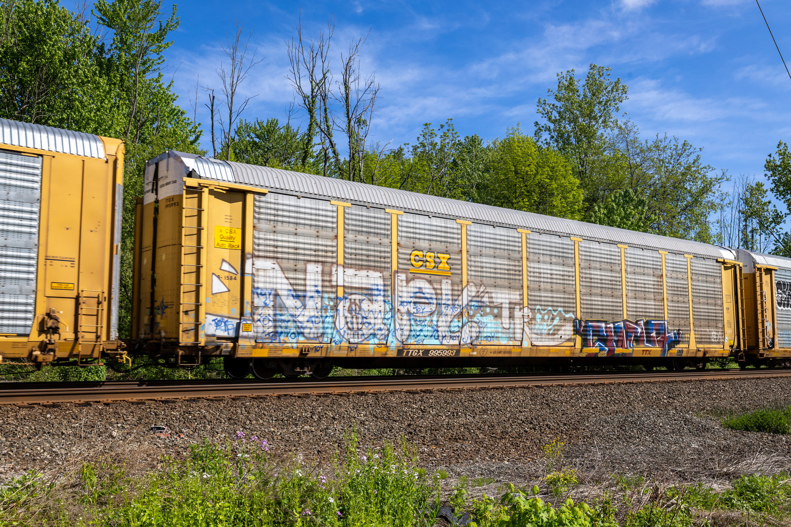 TTGX 995993
