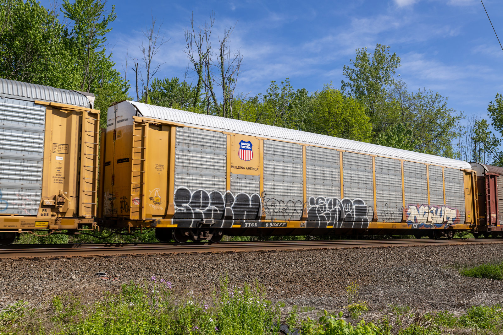 TTGX 990477